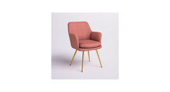 Doe Buck Velvet Tonas Accent Chair/dining chair/café chair for Living Room, dining room ,restaurant Armchair with Gold Legs.