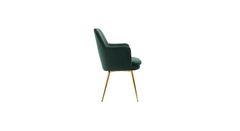 Doe Buck Velvet Tonas Accent Chair/dining chair/café chair for Living Room, dining room ,restaurant Armchair with Gold Legs.