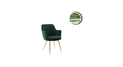 Doe Buck Velvet Tonas Accent Chair/dining chair/café chair for Living Room, dining room ,restaurant Armchair with Gold Legs.