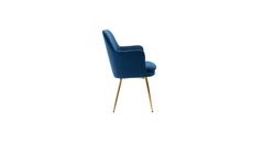 Doe Buck Velvet Tonas Accent Chair/dining chair/café chair for Living Room, dining room ,restaurant Armchair with Gold Legs.