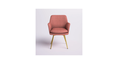 Doe Buck Velvet Tonas Accent Chair/dining chair/café chair for Living Room, dining room ,restaurant Armchair with Gold Legs.