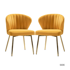 Doe Buck Velvet Chimene Accent Chair/dining chair/café chair for Living Room, dining room ,restaurant Armchair with Gold Legs.