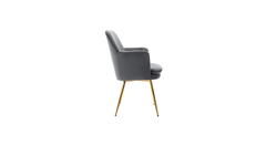 Doe Buck Velvet Tonas Accent Chair/dining chair/café chair for Living Room, dining room ,restaurant Armchair with Gold Legs.