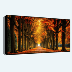 "Scenic Trees Alongside the Road - Natural Landscape Photography"
