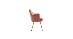 Doe Buck Velvet Tonas Accent Chair/dining chair/café chair for Living Room, dining room ,restaurant Armchair with Gold Legs.