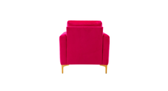Doe Buck Velvet Rafeal Accent Chair/Lounge Chair for Living Room, Bedroom, Armchair Sofa Chair with Gold Legs.