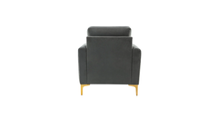Doe Buck Velvet Rafeal Accent Chair/Lounge Chair for Living Room, Bedroom, Armchair Sofa Chair with Gold Legs.