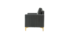 Doe Buck Velvet Rafeal Accent Chair/Lounge Chair for Living Room, Bedroom, Armchair Sofa Chair with Gold Legs.