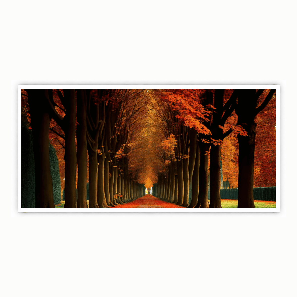 "Scenic Trees Alongside the Road - Natural Landscape Photography"