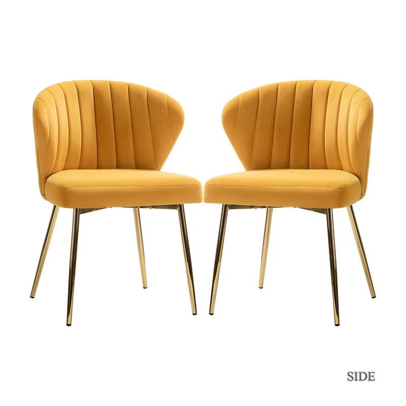 CreativeDecore Velvet Chimene Accent Chair/dining chair/café chair  for  Living Room, dining room ,restaurant  Armchair  with Gold Legs.