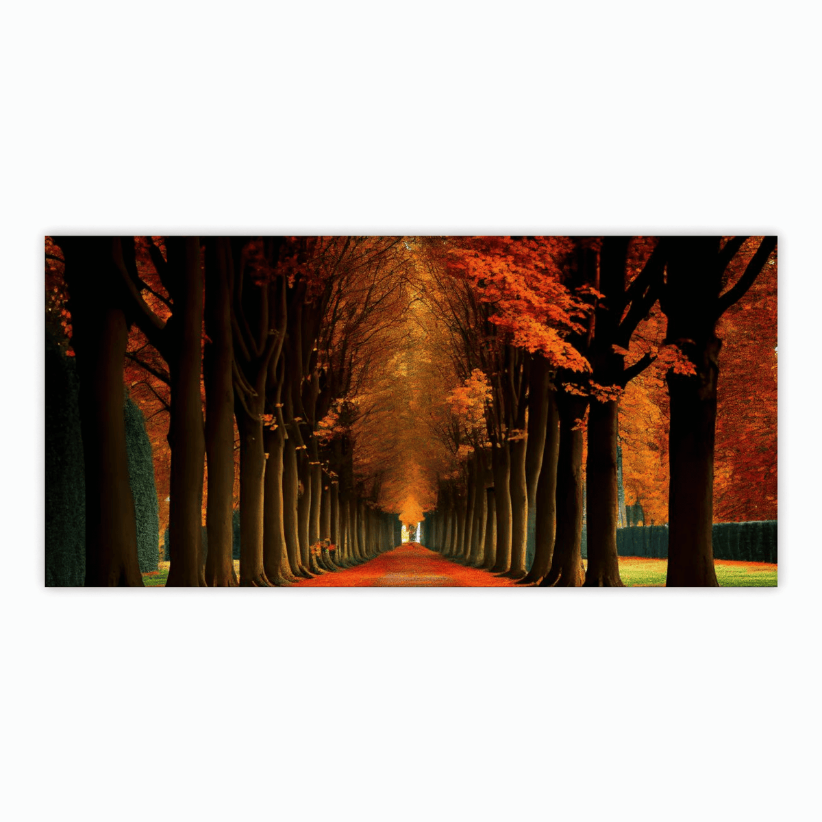 "Scenic Trees Alongside the Road - Natural Landscape Photography"