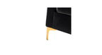 CreativeDecore Velvet Rafeal  Accent Chair/Lounge Chair for  Living Room, Bedroom, Armchair Sofa Chair with Gold Legs.