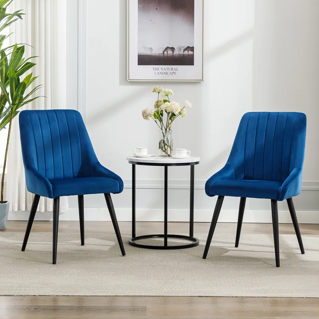 CreativeDecore Velvet Nico    Accent Chair/dining chair/café chair  for  Living Room, dining room ,resturant  Armchair  with Gold Legs.