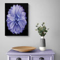Beautifull Wall Paintings by Creative Décor
